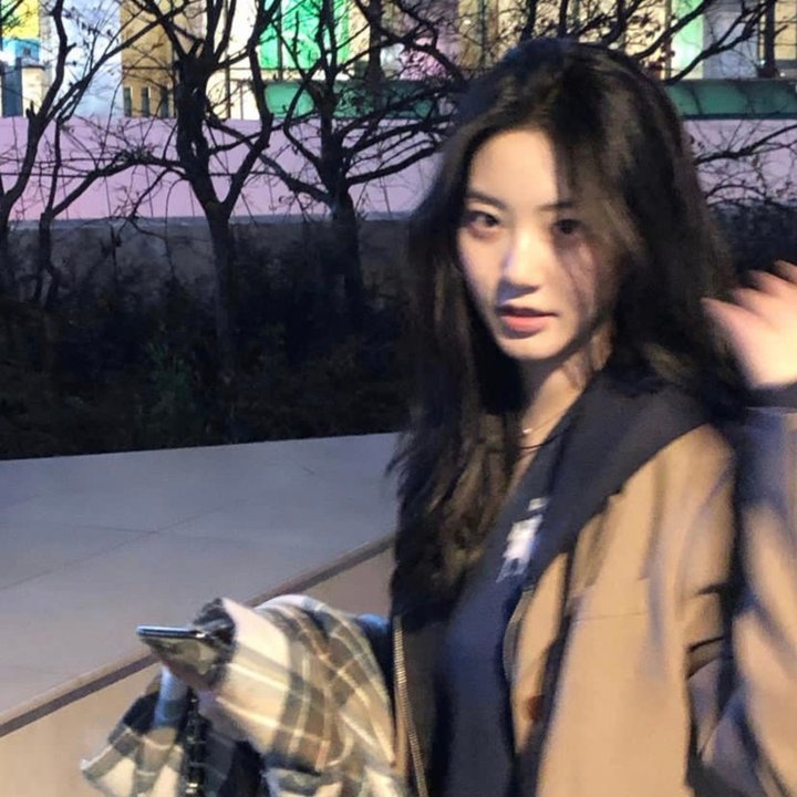 父亲是棵树